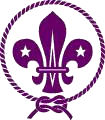 World Scouting Radio Site